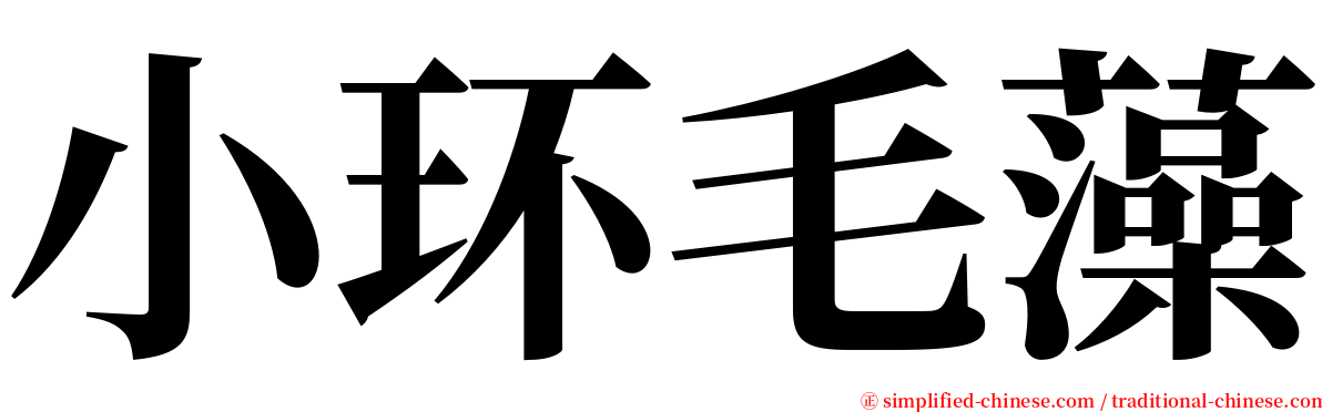 小环毛藻 serif font