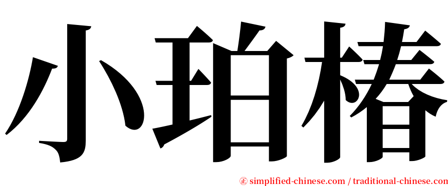 小珀椿 serif font