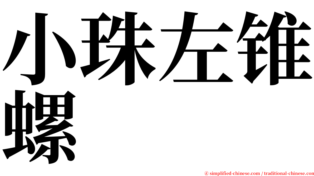 小珠左锥螺 serif font