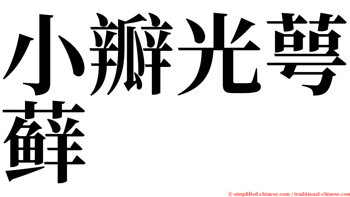 小瓣光萼藓 serif font