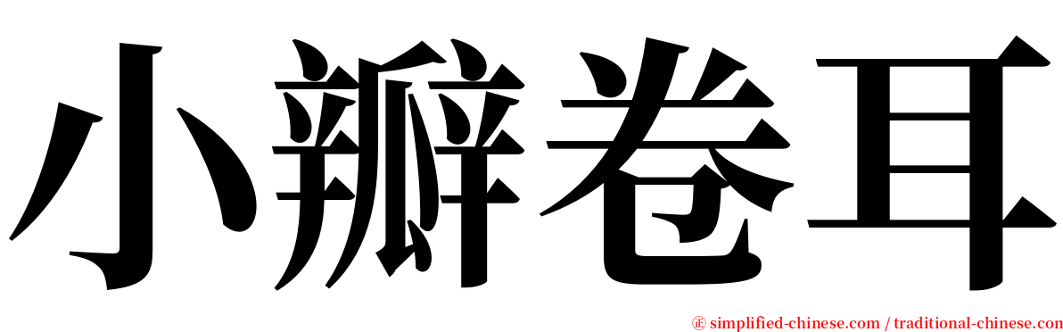 小瓣卷耳 serif font