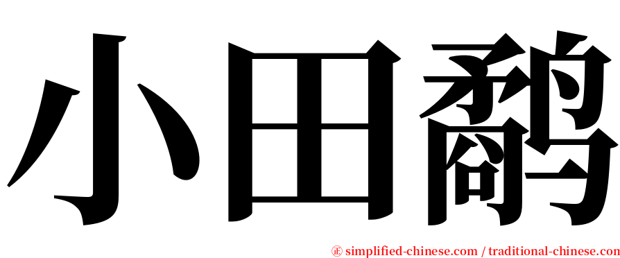 小田鹬 serif font