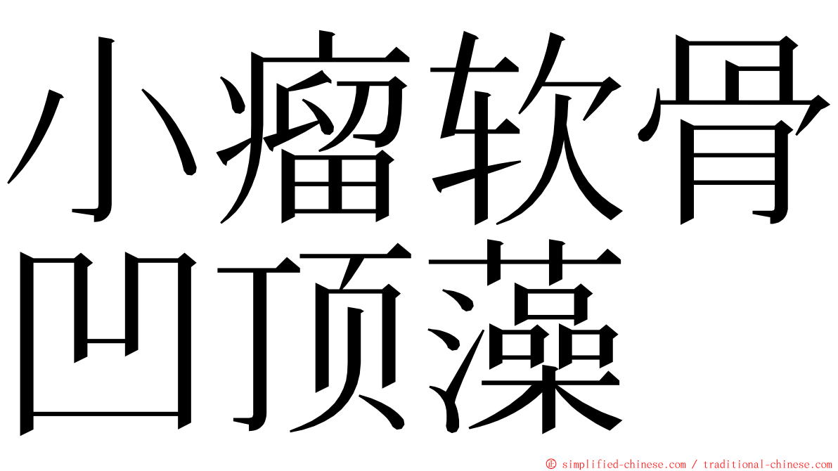 小瘤软骨凹顶藻 ming font