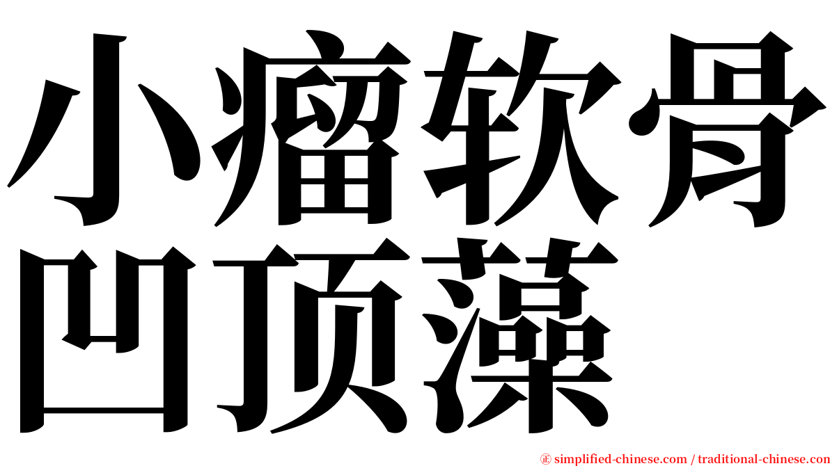 小瘤软骨凹顶藻 serif font