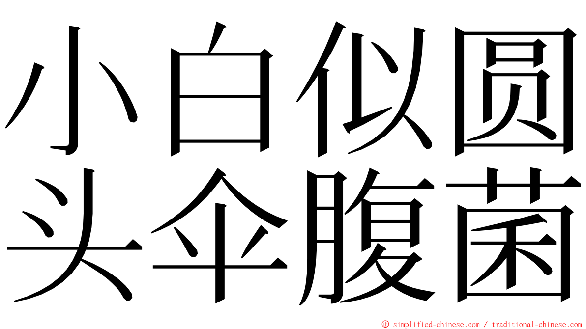 小白似圆头伞腹菌 ming font