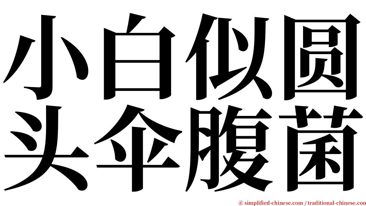 小白似圆头伞腹菌 serif font