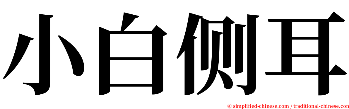 小白侧耳 serif font