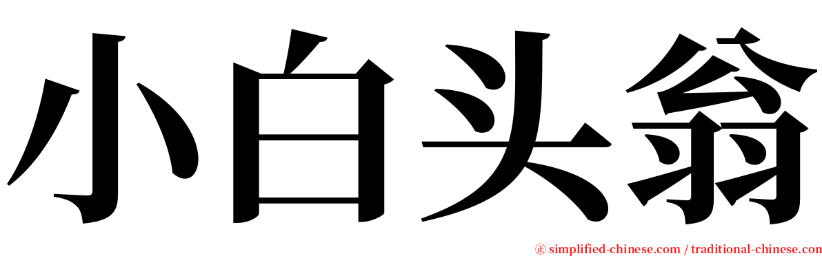 小白头翁 serif font