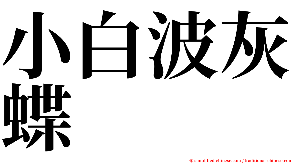 小白波灰蝶 serif font