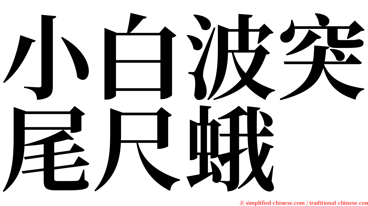 小白波突尾尺蛾 serif font