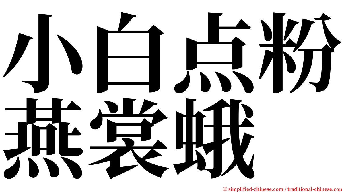 小白点粉燕裳蛾 serif font