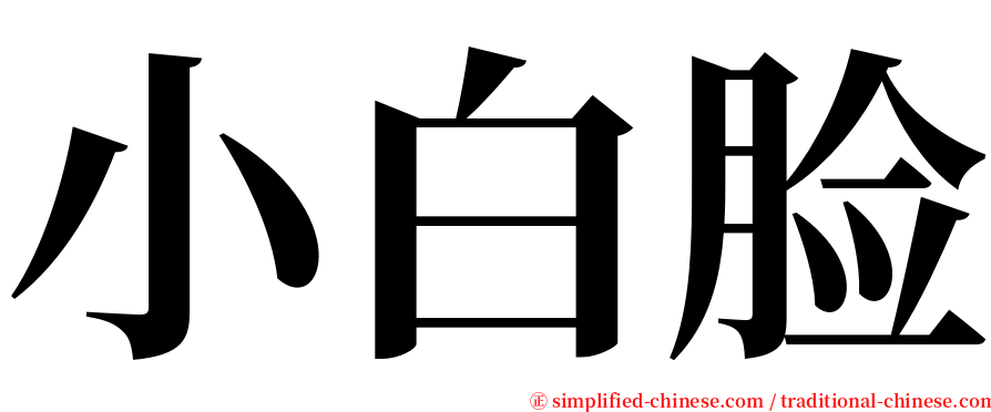 小白脸 serif font