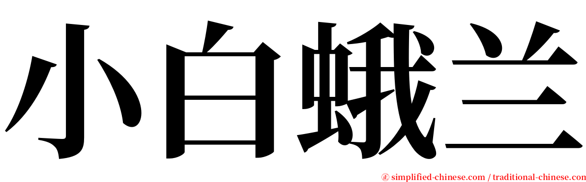 小白蛾兰 serif font