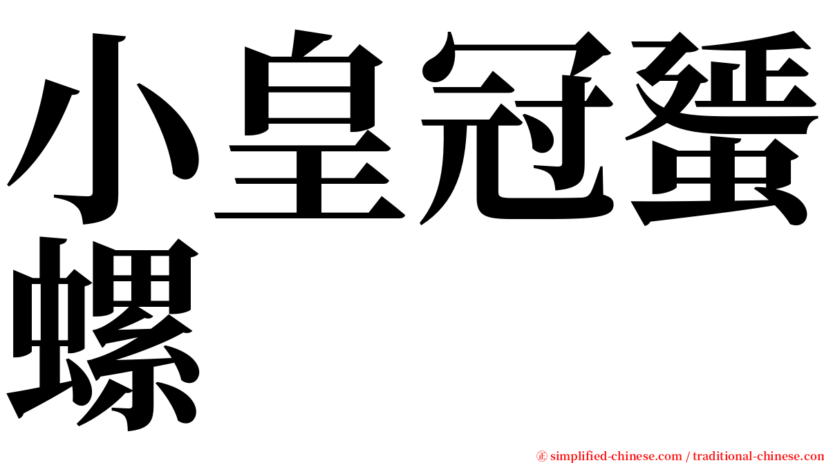 小皇冠蜑螺 serif font