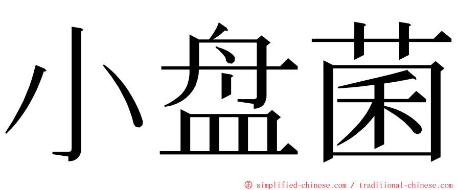 小盘菌 ming font