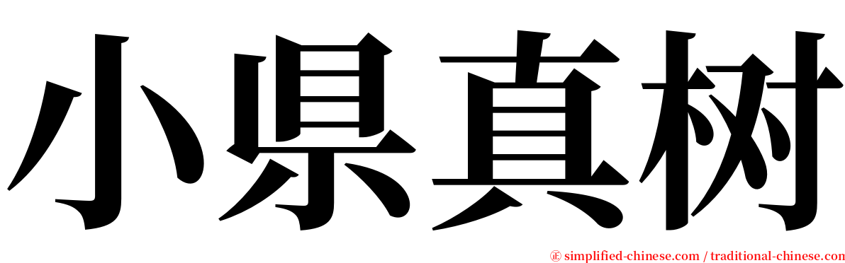 小県真树 serif font