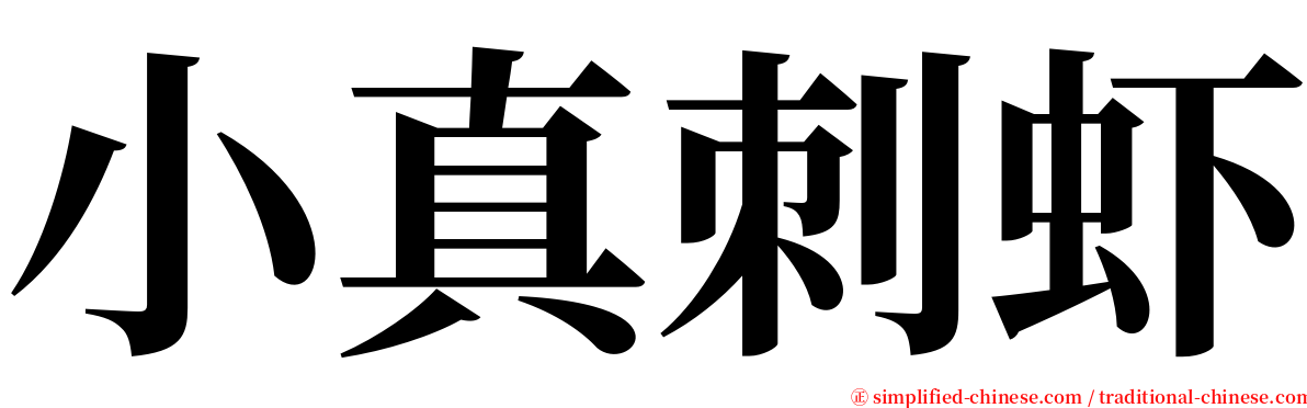 小真刺虾 serif font