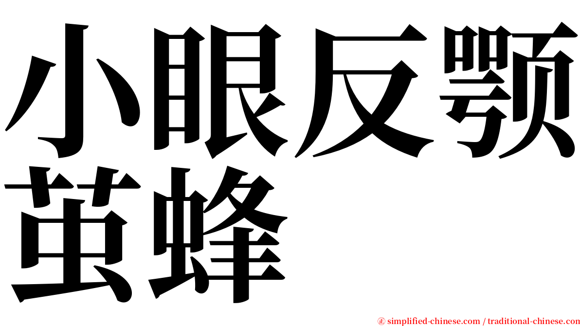 小眼反颚茧蜂 serif font