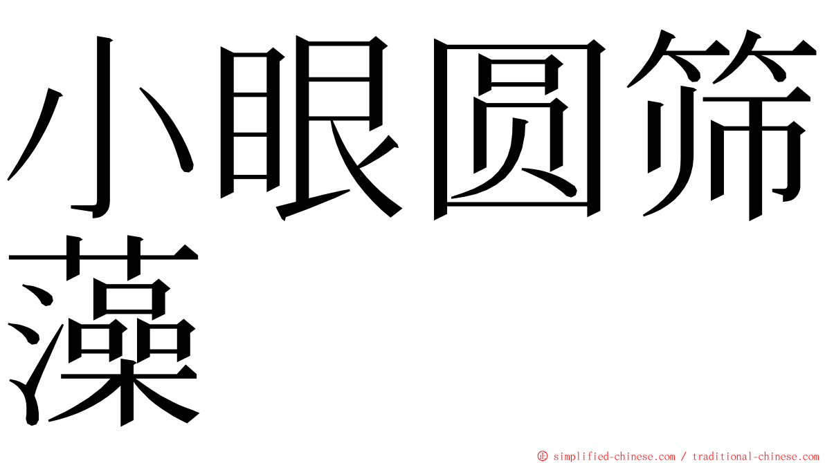 小眼圆筛藻 ming font