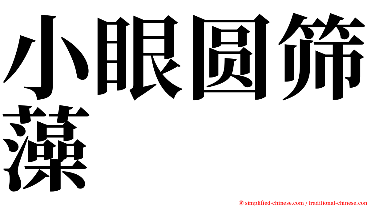 小眼圆筛藻 serif font