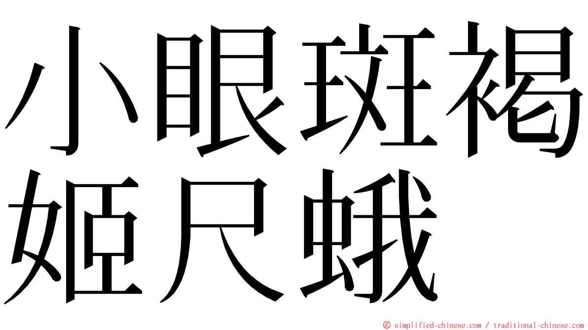 小眼斑褐姬尺蛾 ming font