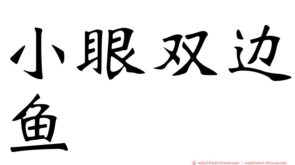 小眼双边鱼