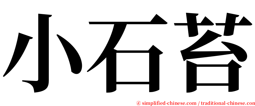 小石苔 serif font