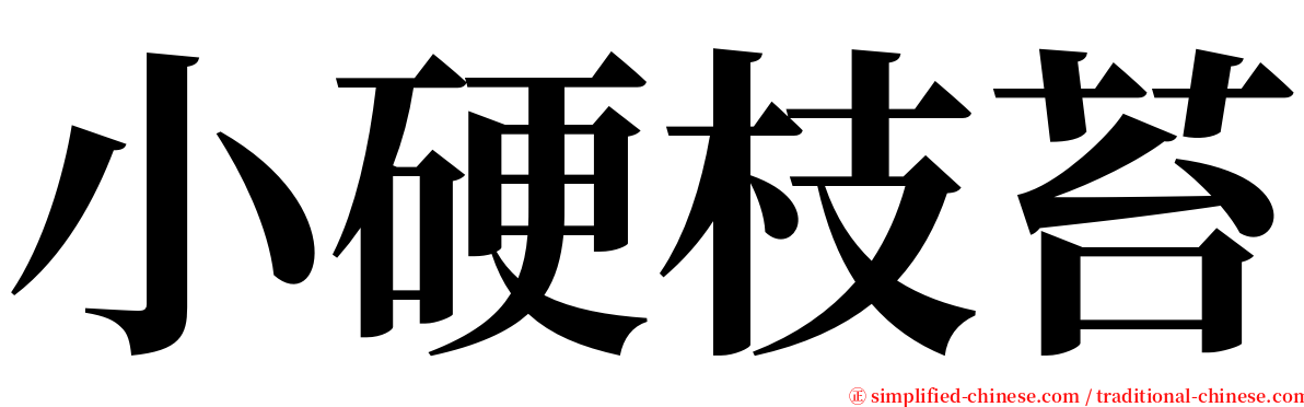 小硬枝苔 serif font