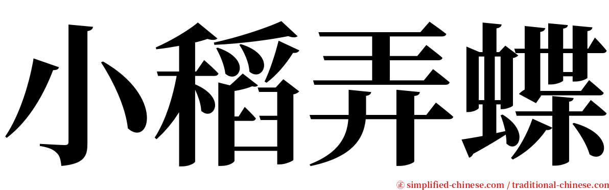 小稻弄蝶 serif font