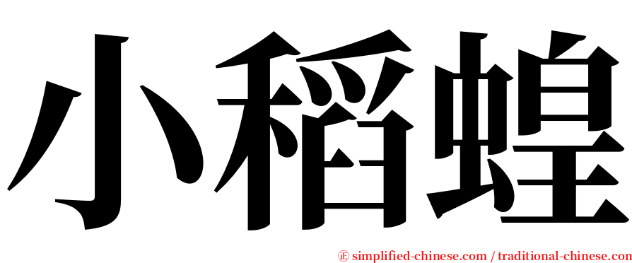 小稻蝗 serif font