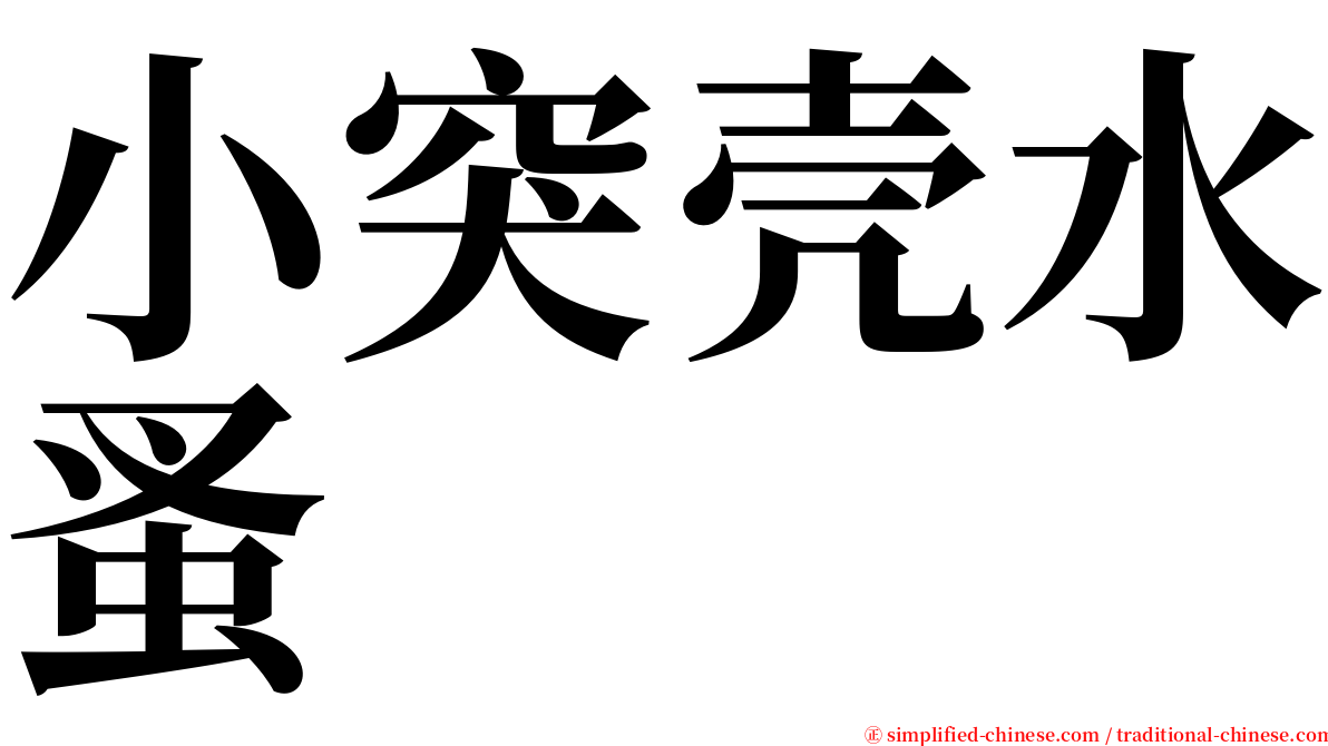 小突壳水蚤 serif font