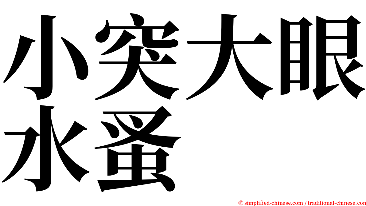 小突大眼水蚤 serif font