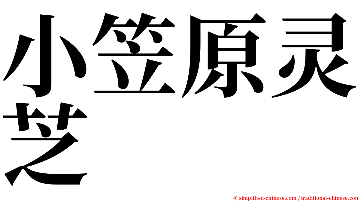 小笠原灵芝 serif font