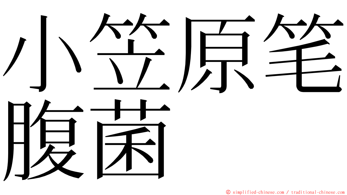 小笠原笔腹菌 ming font