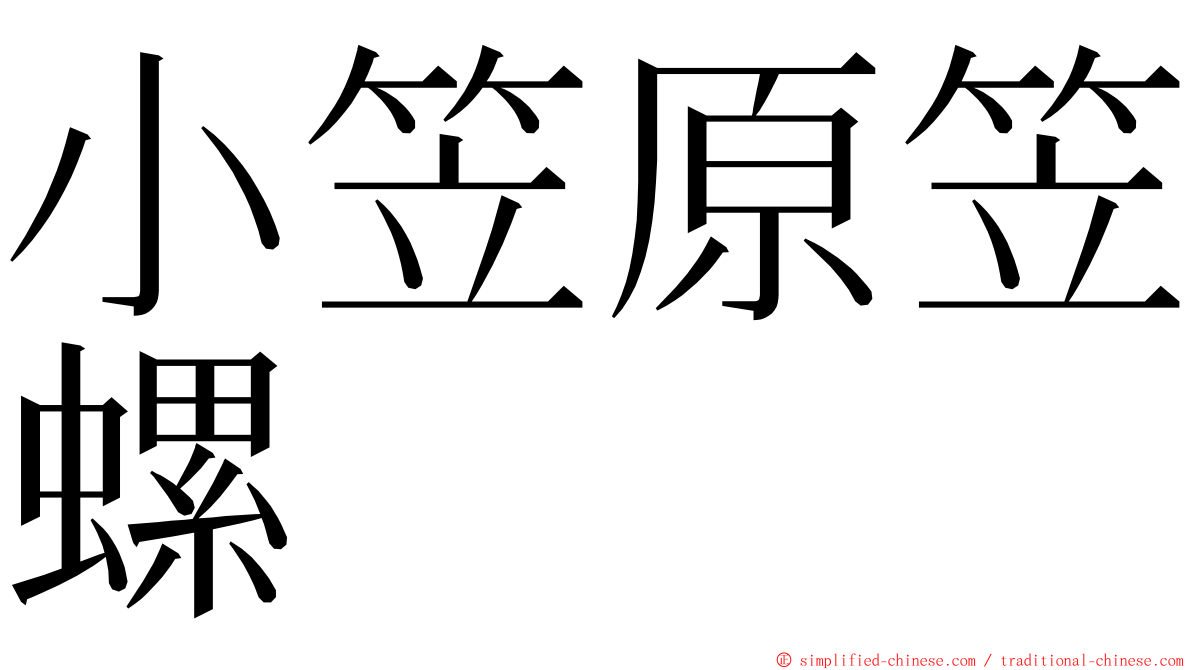 小笠原笠螺 ming font