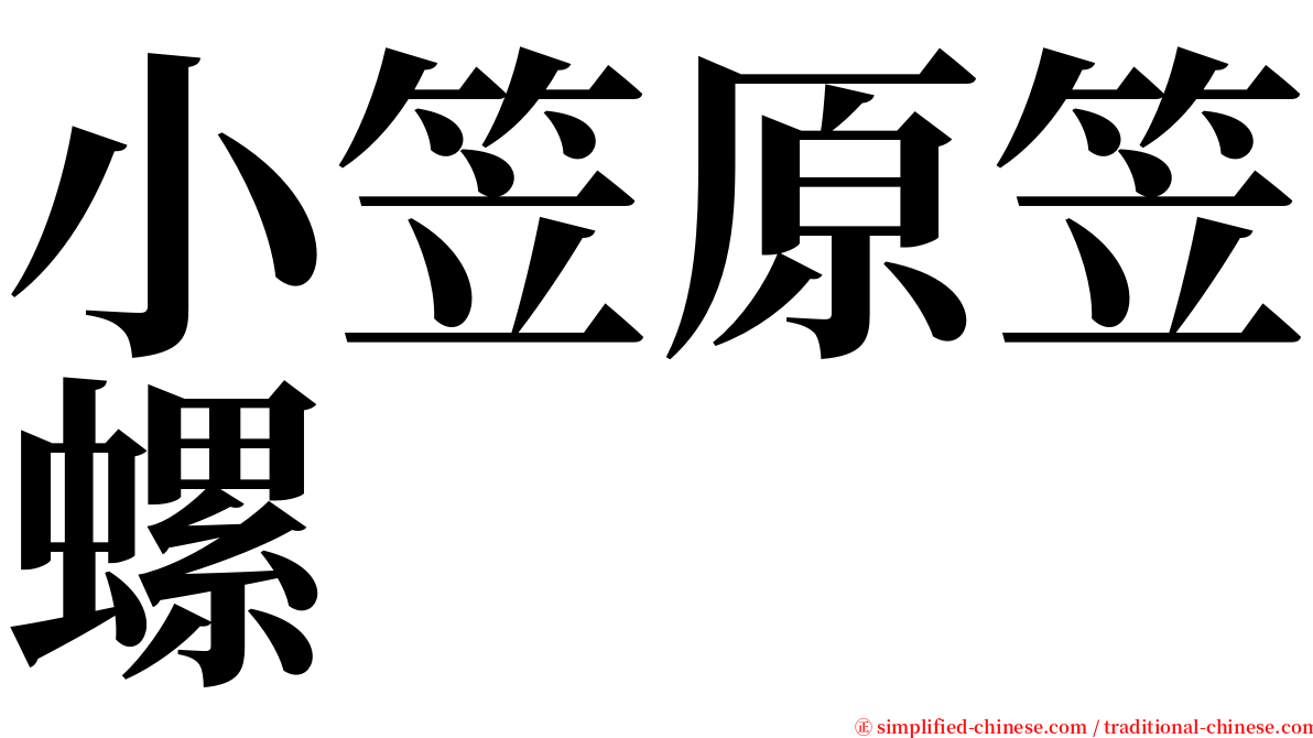 小笠原笠螺 serif font