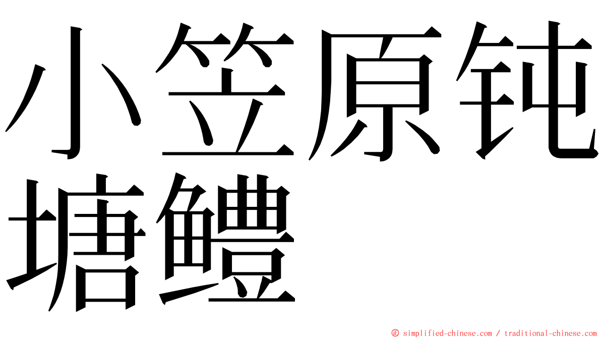 小笠原钝塘鳢 ming font