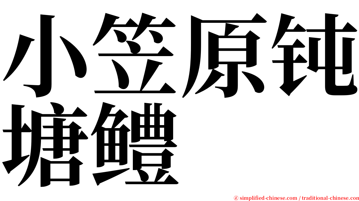 小笠原钝塘鳢 serif font