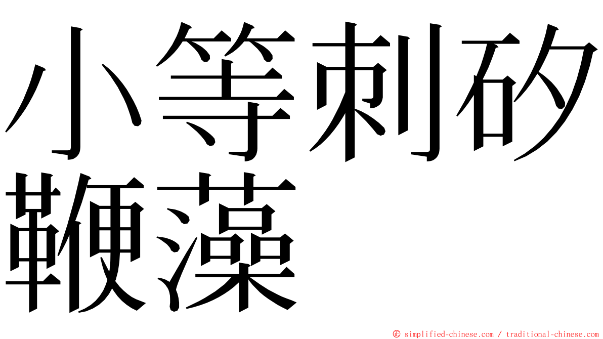 小等刺矽鞭藻 ming font