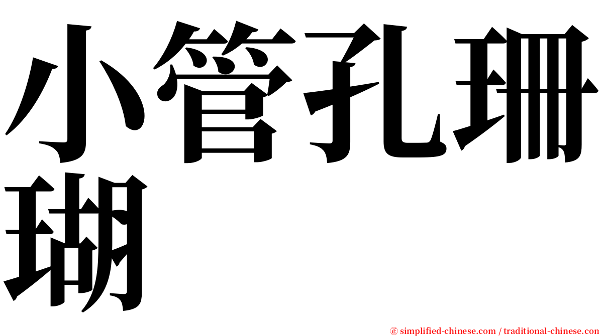 小管孔珊瑚 serif font