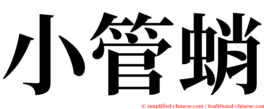 小管蛸 serif font