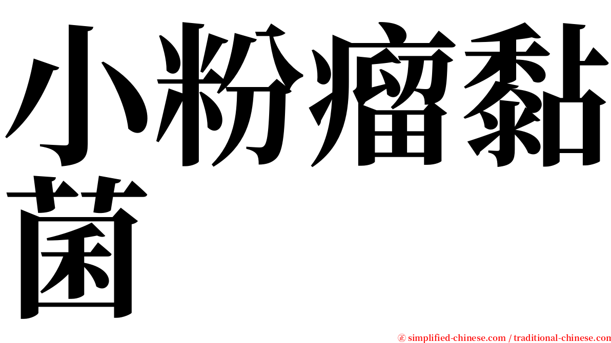 小粉瘤黏菌 serif font