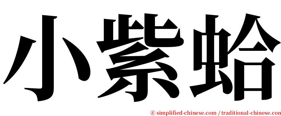 小紫蛤 serif font