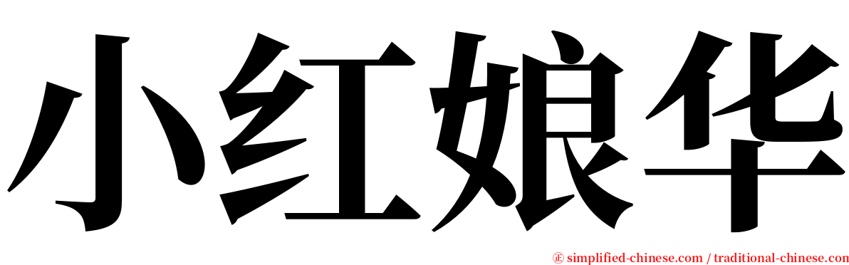 小红娘华 serif font