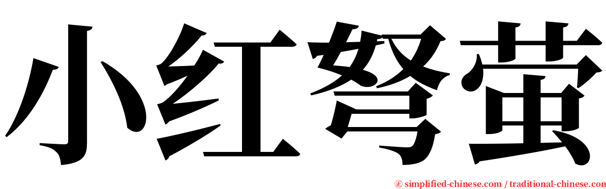 小红弩萤 serif font