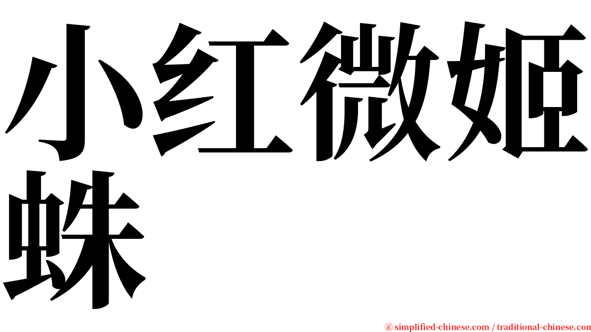 小红微姬蛛 serif font