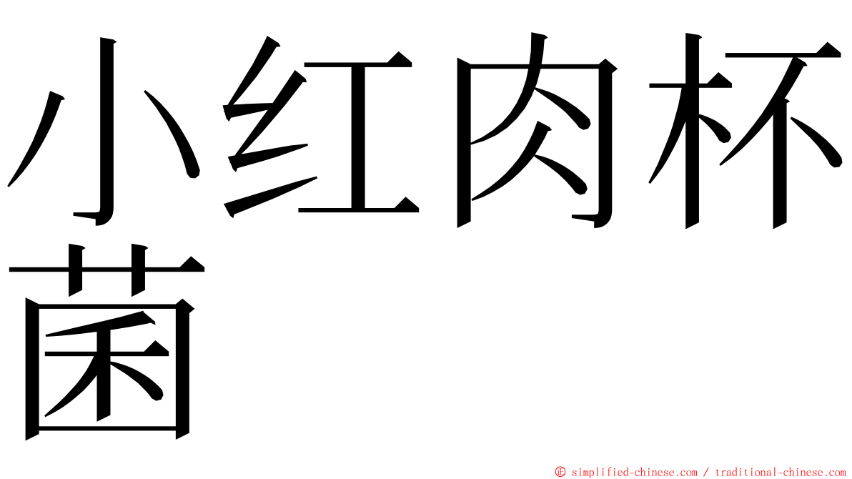 小红肉杯菌 ming font
