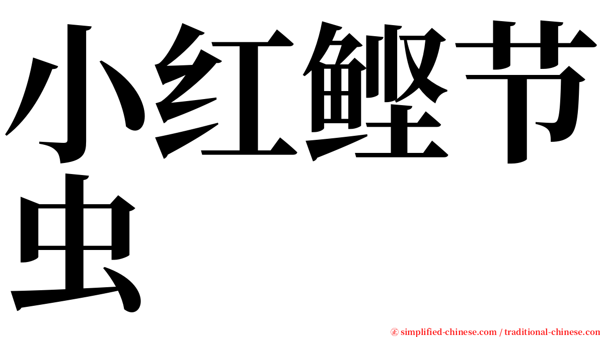 小红鲣节虫 serif font