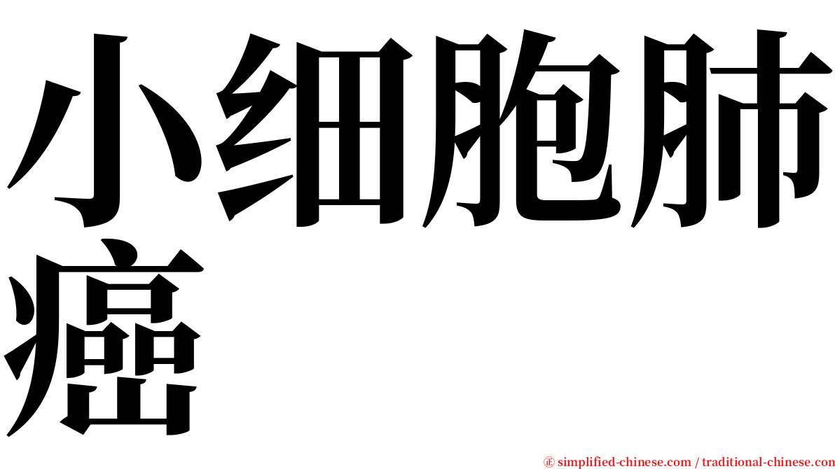 小细胞肺癌 serif font