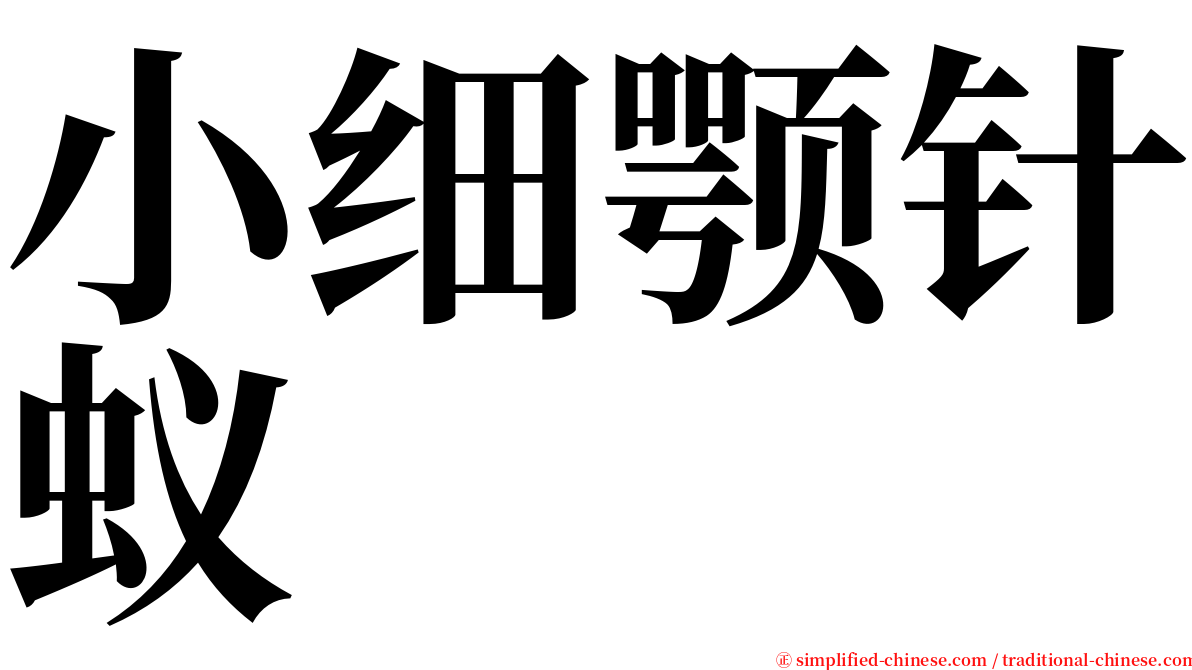 小细颚针蚁 serif font